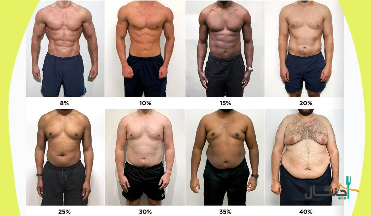 تصاویر مرجعه درصد چربی بدن مردان