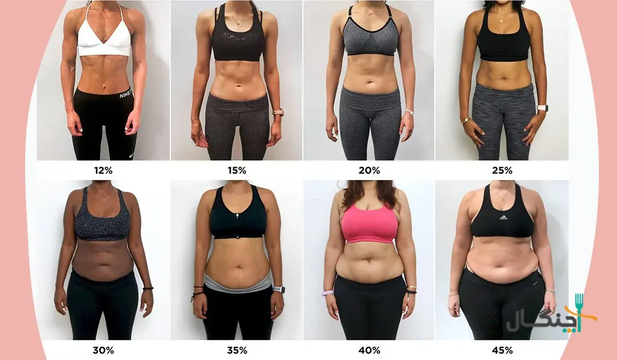 تصاویر مرجعه درصد چربی بدن زنان