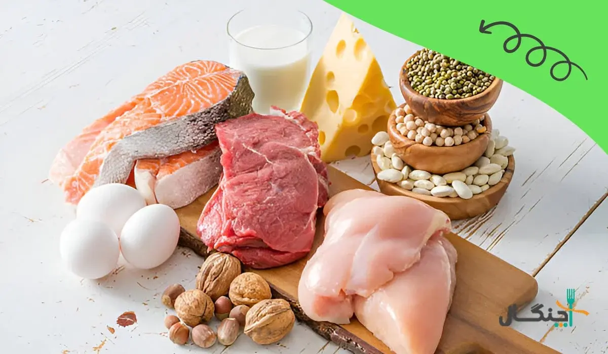 رژیم پرپروتئین برای ورزشکاران