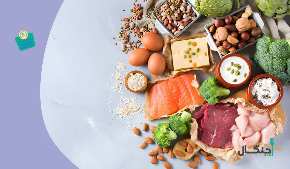 بالا بردن متابولیسم با پروتئین