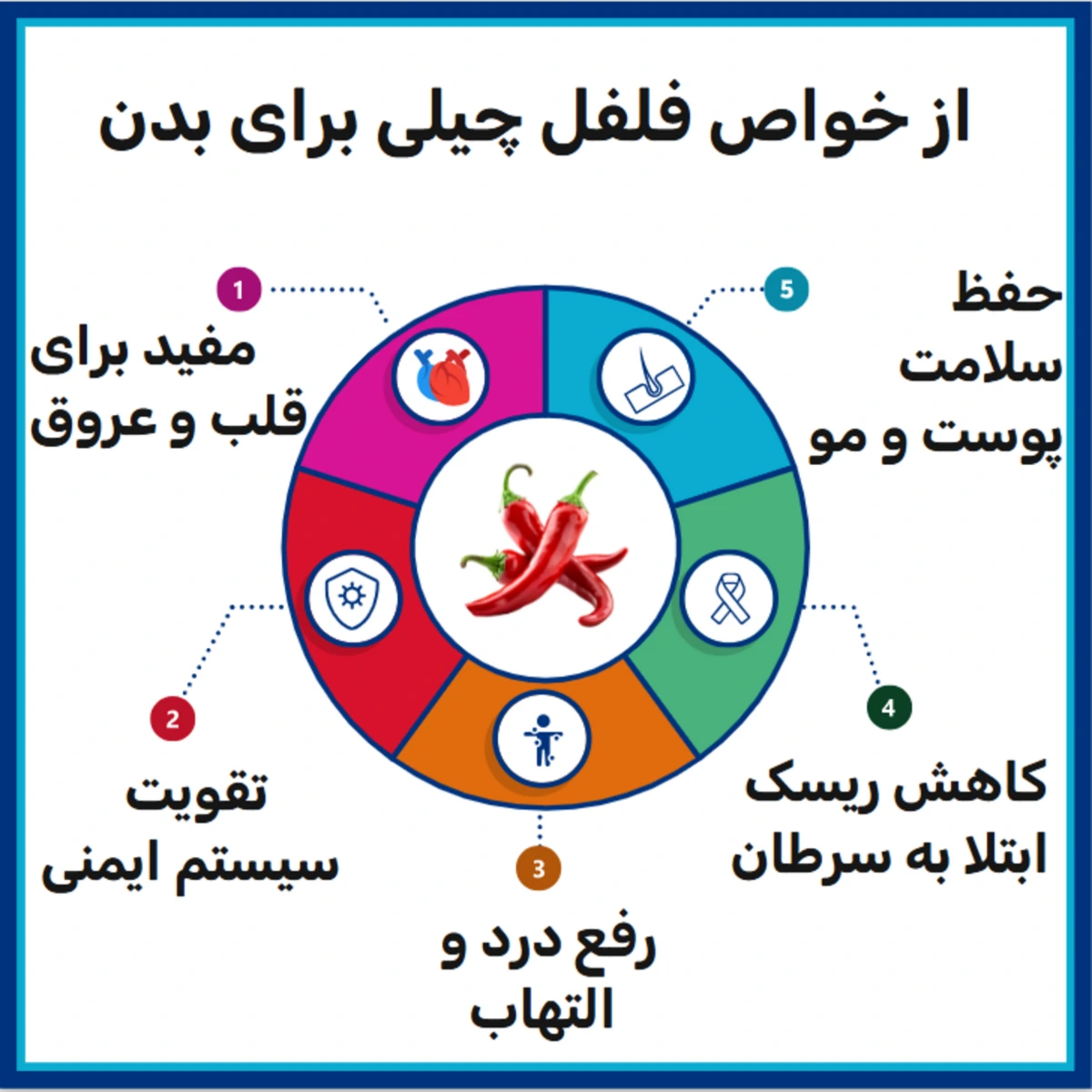 اینفوگرافی خواص فلفل چیلی برای بدن