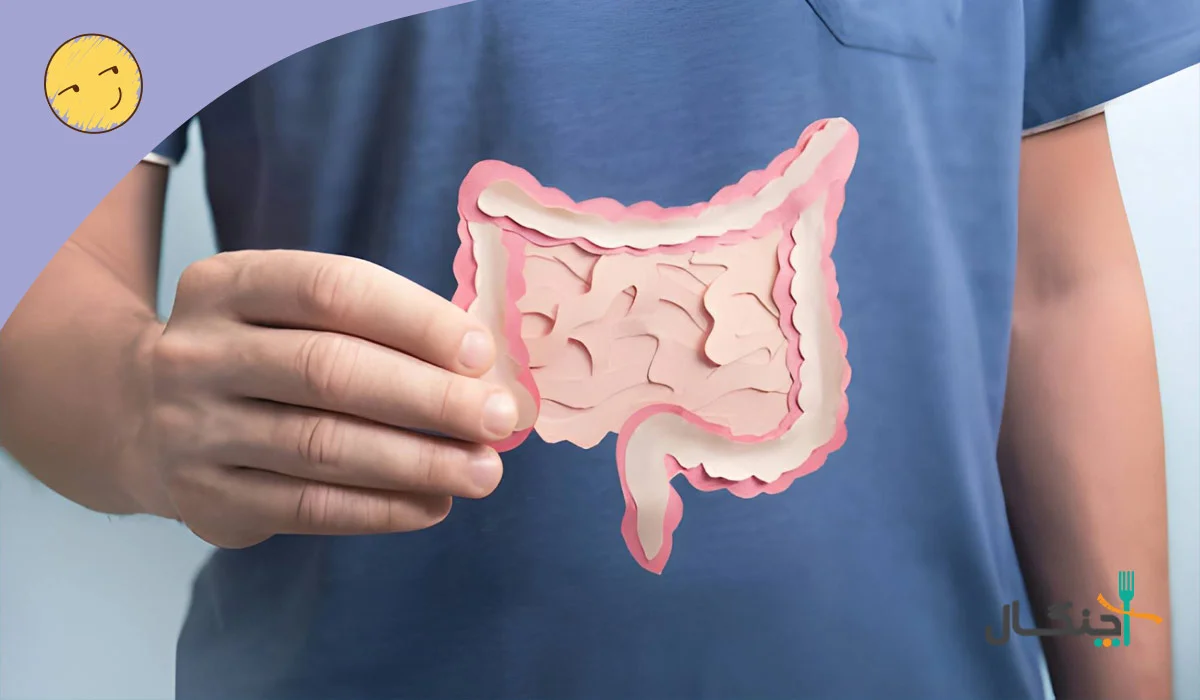 عوارض نوشابه رژیمی زیرو برای روده