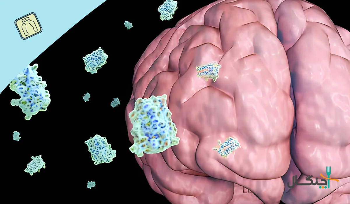 تنظیم اشتها با هورمون گرلین