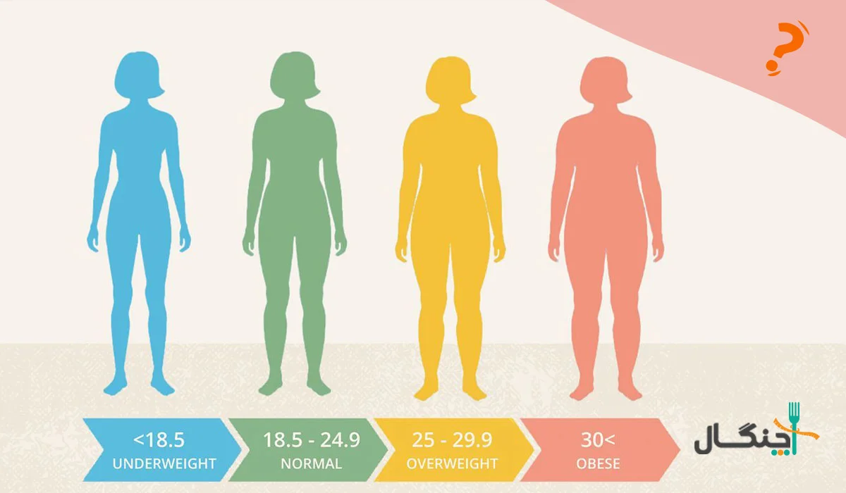 شاخص توده بدنی