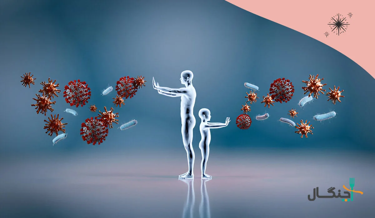 تقویت سیستم ایمنی با رژیم میکروبیوم