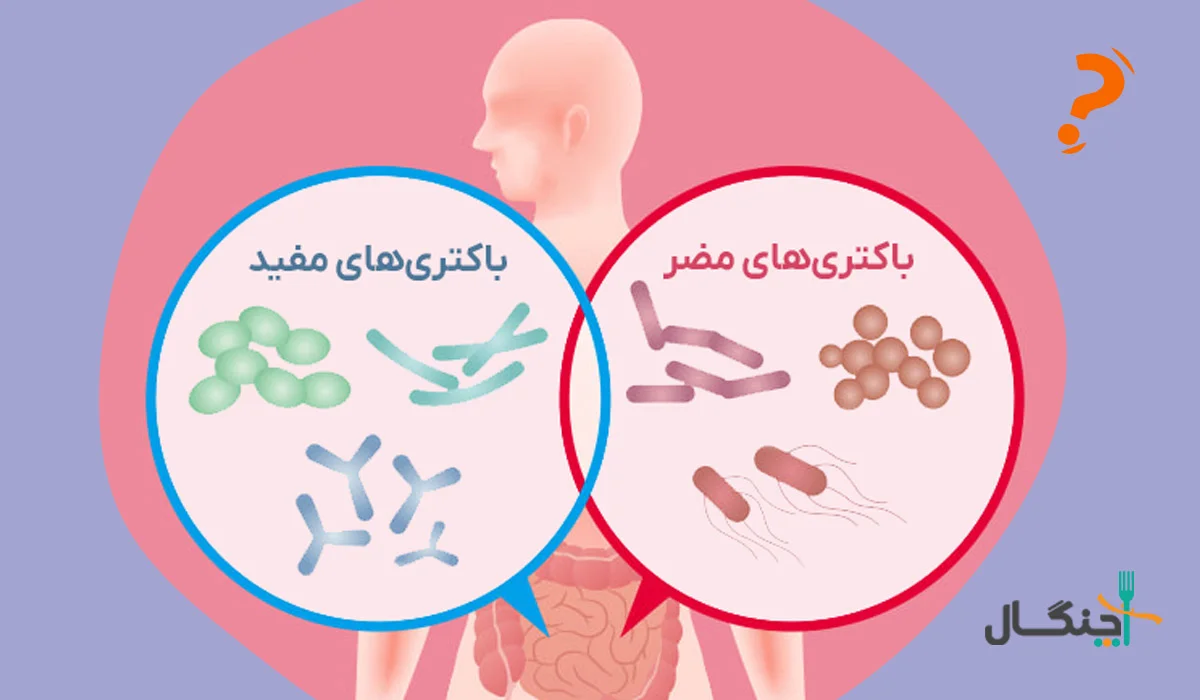 استرس و میکروبیوم روده