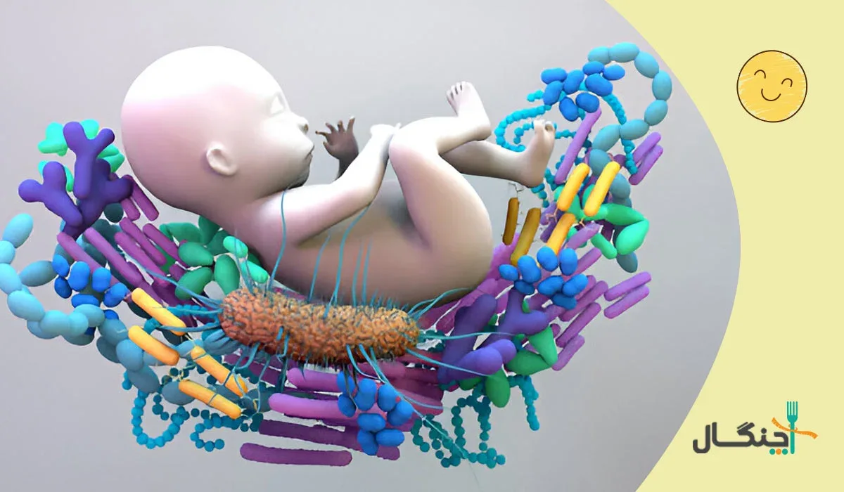 میکروبیوم روده