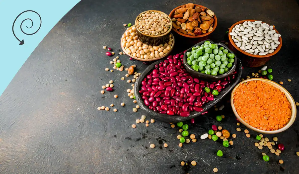 غذاهای گیاهی با پروتئین بالا