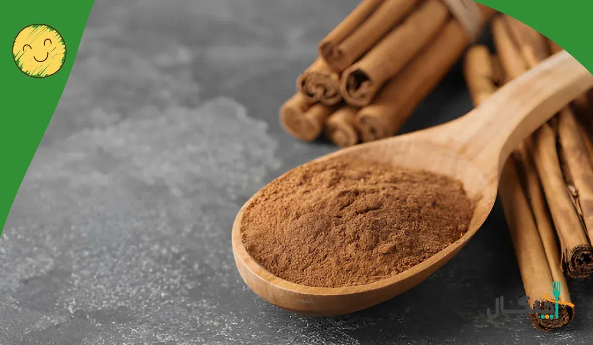لاغری با دارچین