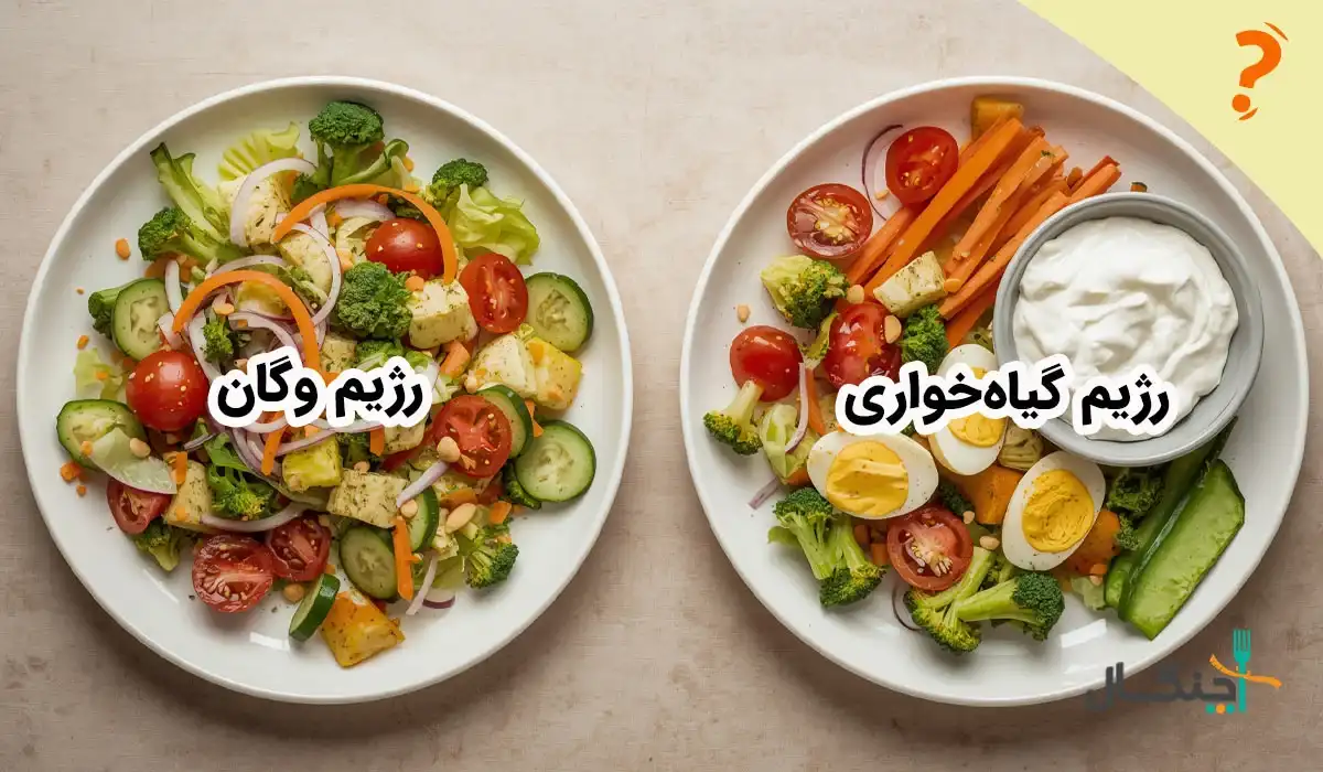 تفاوت وگان و وجترین 