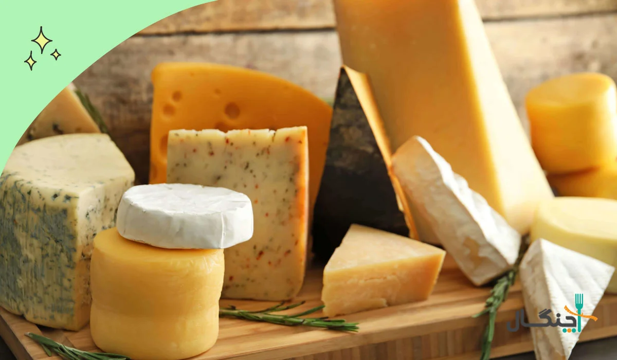 پنیر پروبیوتیک