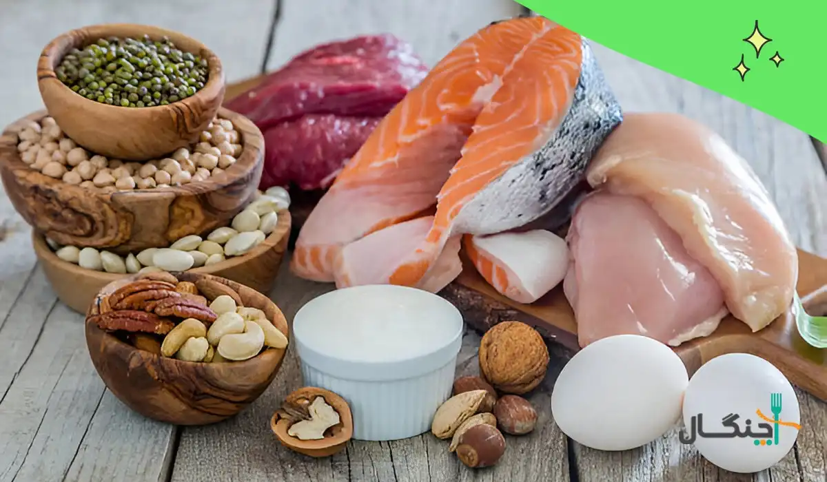 منابع پروتئین
